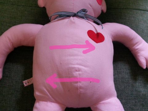 13621782_897597367013349_490231727_o