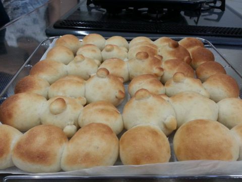 13835959_906051716167914_1708545149_o